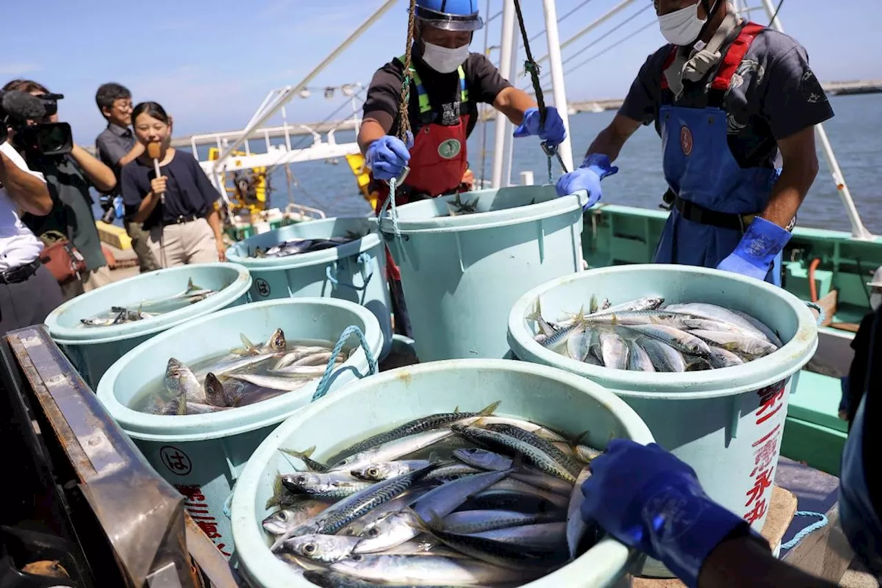 China To Gradually Resume Imports Of Japanese Seafood