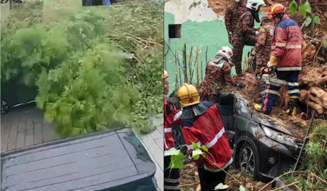 [Watch] Two Chinese Tourists Crushed By Fallen Tree And Building Debris In George Town