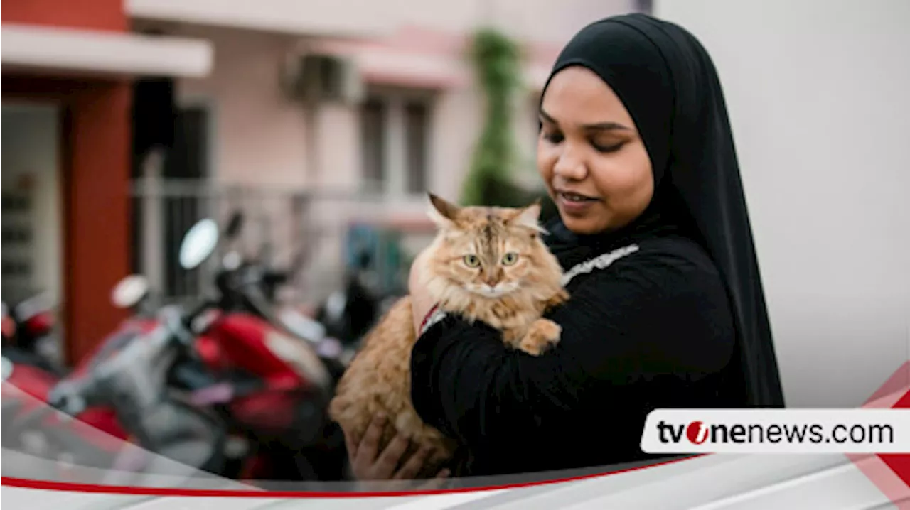 Jangan Pelihara Kucing Sekalipun Hewan Itu Lucu dan Menggemaskan, Ustaz Khalid Basalamah Tegas Bilang...