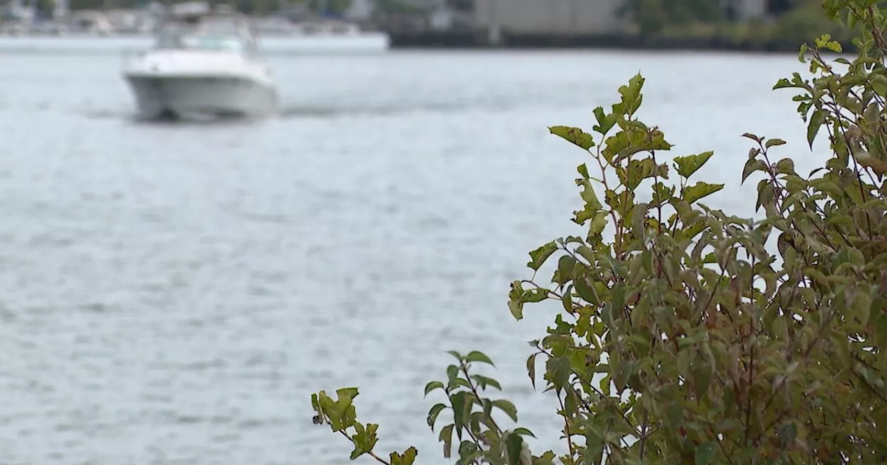 Regulators say this Northeast Ohio river is getting cleaner