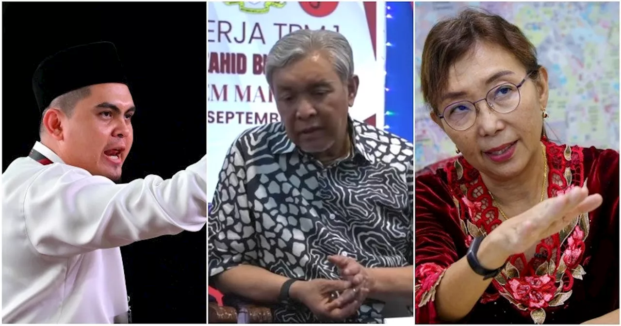 Zahid Hamidi Personally Asks Dr Akmal to 'Tone it Down' With Teresa Kok Over Halal Cert Feud