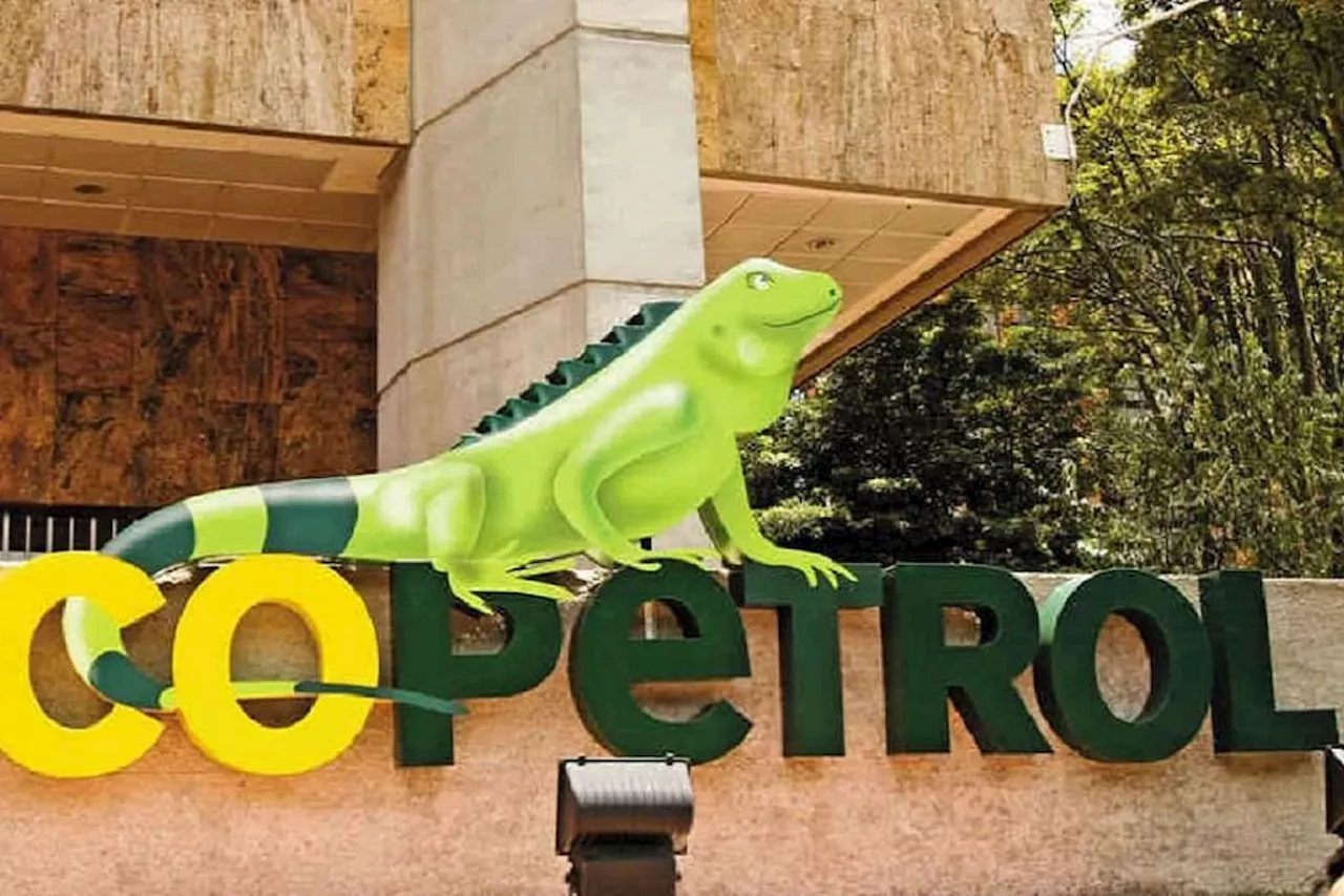 Pozo Uchuva 2: Otorgan plazo de 2 meses a Ecopetrol y Petrobras para suspender obras