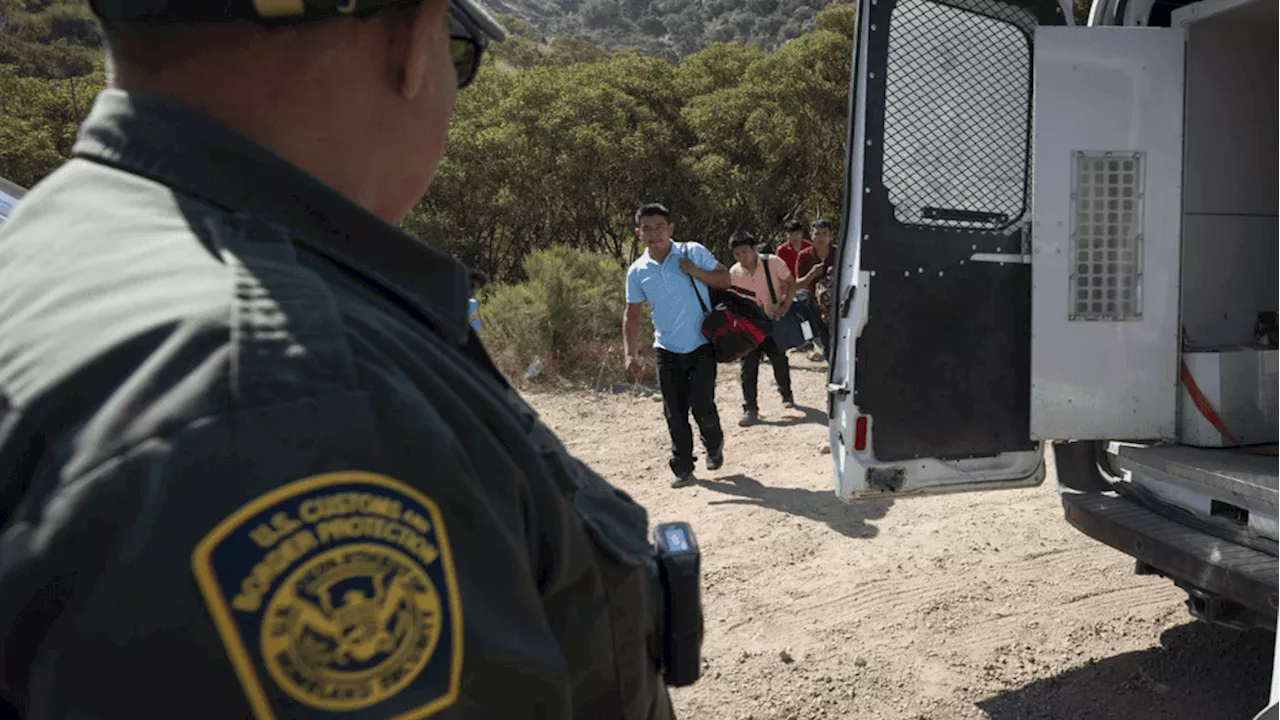 Illegal migrant bites Border Patrol agent while trying to cross New Mexico border