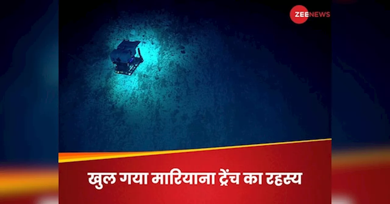 Mariana Trench: दुनिया की सबसे गहरी समुद्री खाई से आ रही रहस्यमय आवाज क्या है, आखिर पता चल ही गया