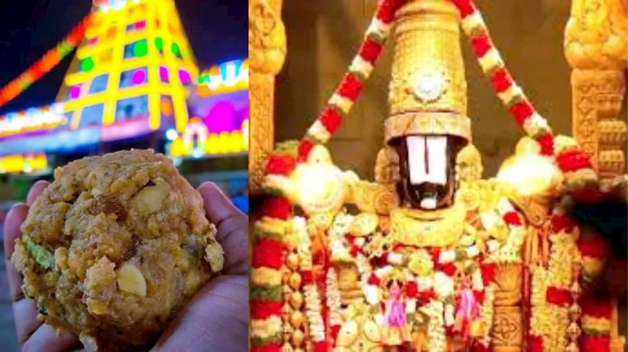 Tirumala Laddu Controversy: ప్రతిరోజూ రూ.3 లక్షల లడ్డూ ప్రసాదం.. ఏడాదికి రూ.500 కోట్ల ఆదాయం.. వెలుగులోకి సంచలన విషయాలు..!