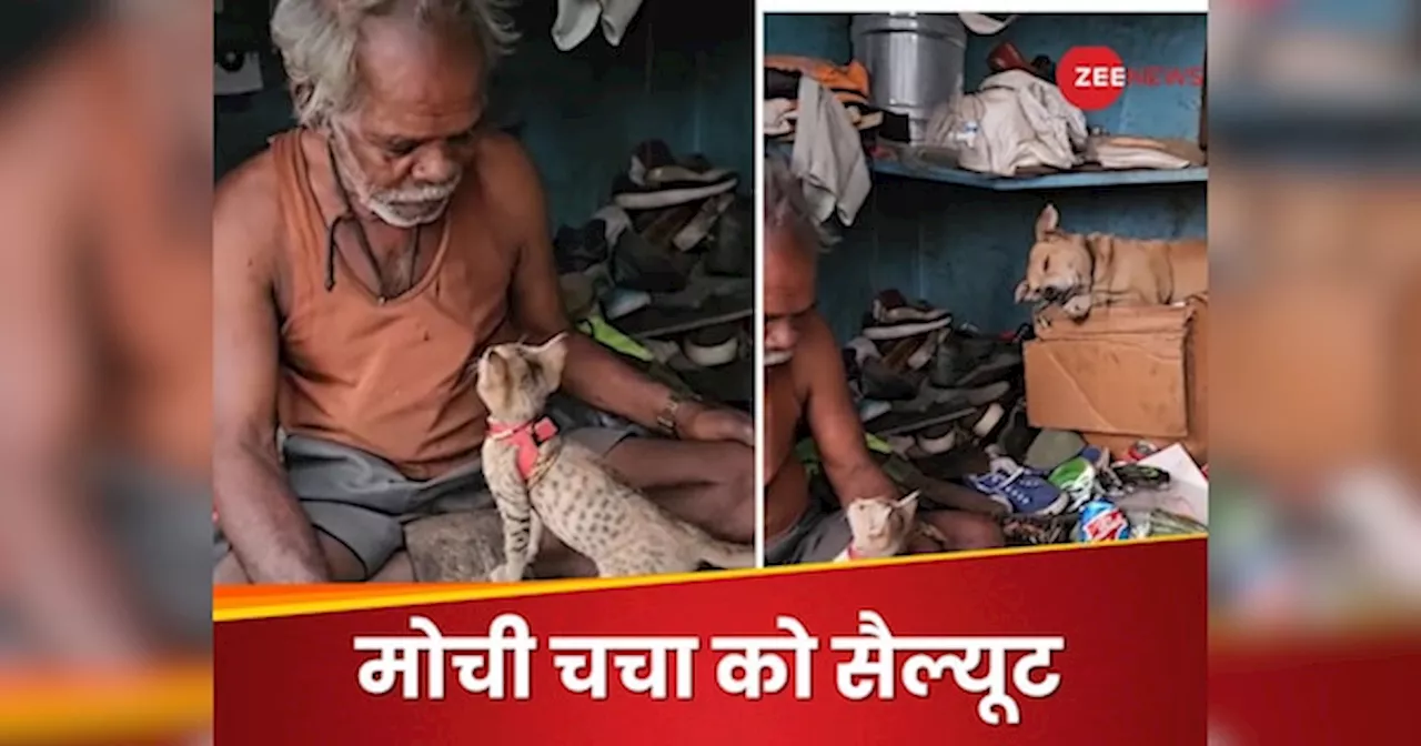 Video: मोची चचा की दुकान को देखते ही खुश हो जाएगा मन, हर कोई कहता है- अंकल तुस्सी ग्रेट हो