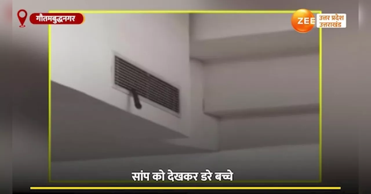 Video: क्लासरूम में लेक्चर के दौरान निकला किंग कोबरा! वीडियो सोशल मीडिया पर वायरल