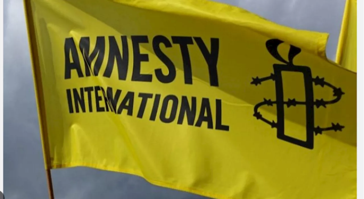 India using anti-money laundering laws to harass NGOs: Amnesty