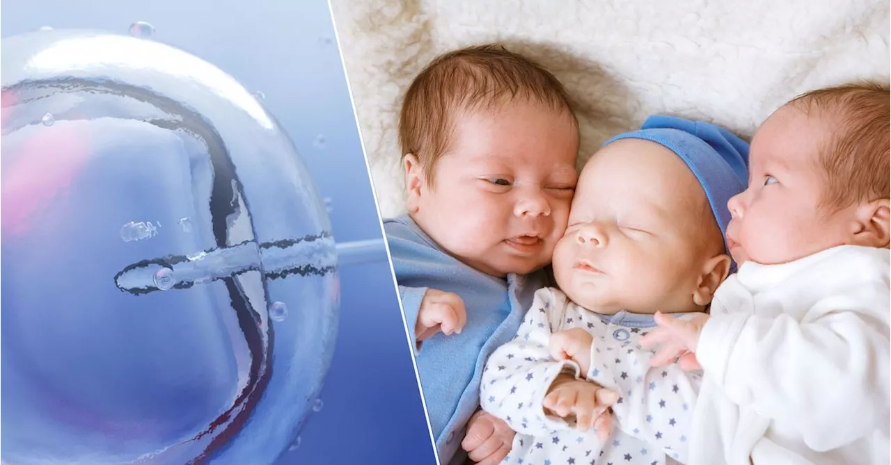 Australia's IVF birth rate for twins and triplets has plummeted