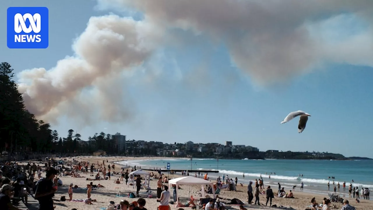 Bushfire burning in Sydney's Northern Beaches downgraded from Emergency warning to Watch and Act