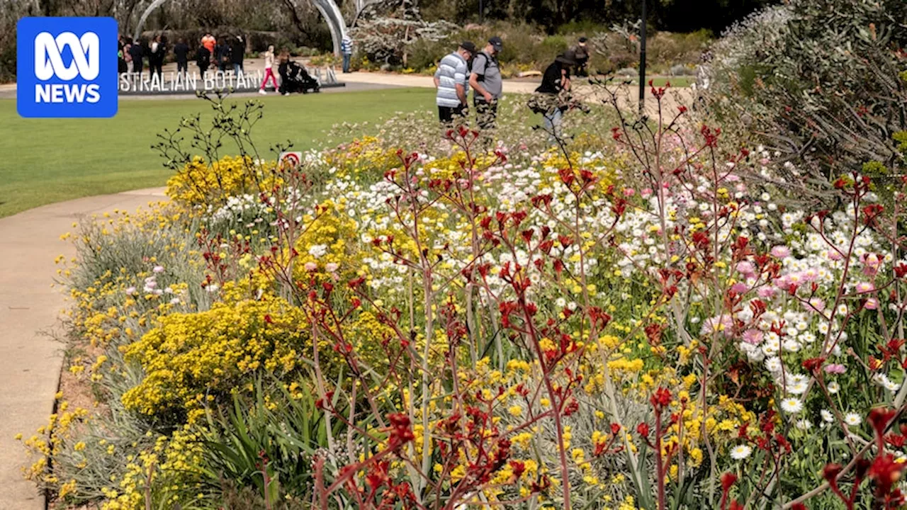 Kings Park Botanic Garden's spring showcase aims to inspire home gardeners with climate tolerant flora