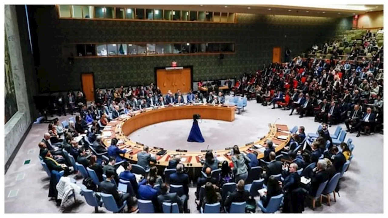 UNSC: 'भारत के पास सुरक्षा परिषद में स्थायी सीट का अधिकार'; संयुक्त राष्ट्र में भारतीय राजदूत ने फिर उठाई मांग