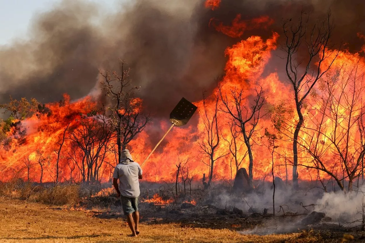 Entenda as linhas de investigação dos incêndios florestais no País