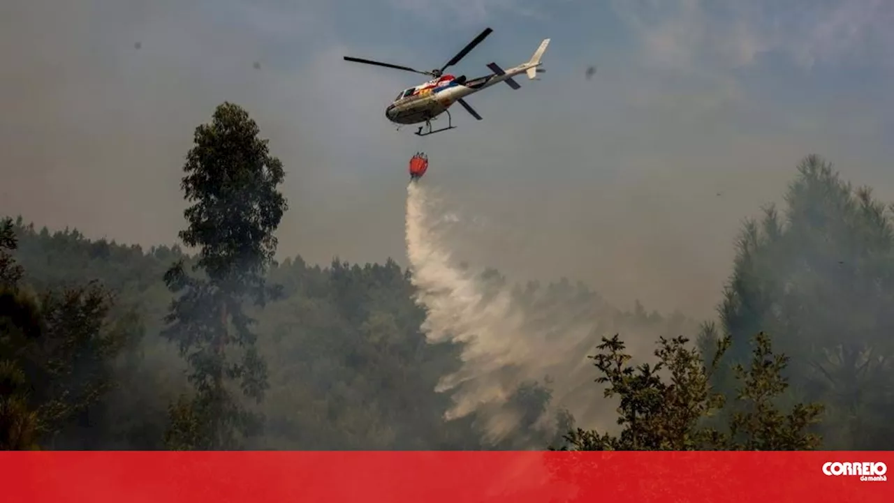 Cerca de 135 mil hectares arderam entre domingo e sexta-feira