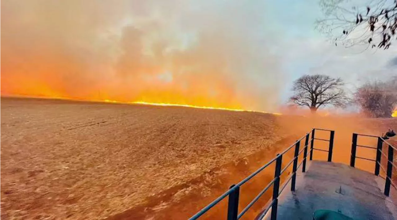 SP atinge maior número de incêndios da série histórica do Inpe