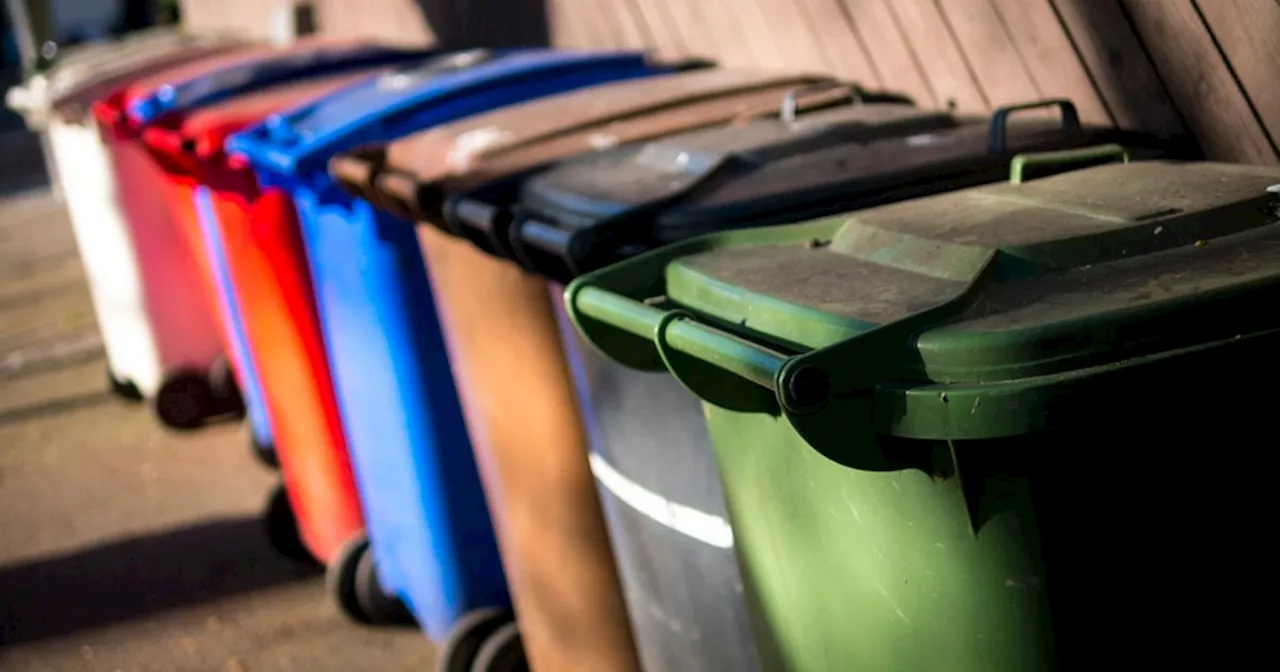 UK Households Could Face £80 Fines for Common Wheelie Bin Mistakes