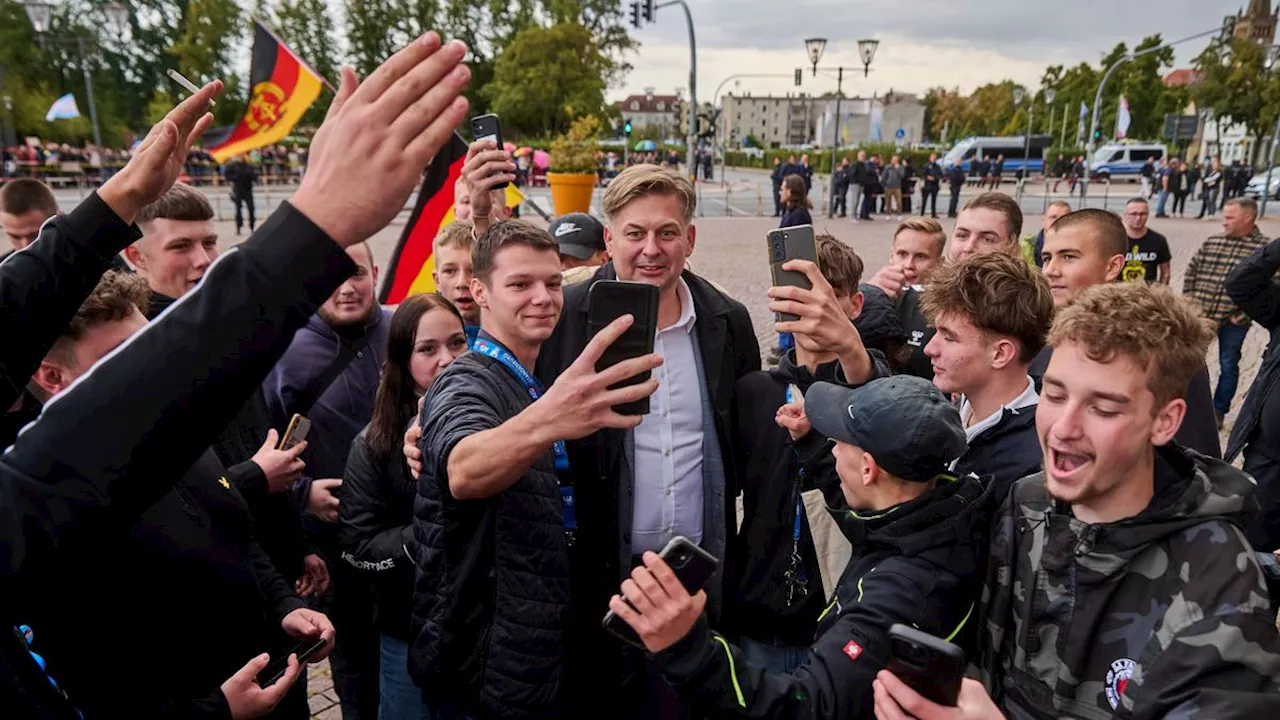 Einschätzung von Historikern: Die AfD ködert Jungwähler