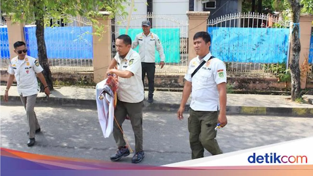 DLH-Satpol PP Palopo Tertibkan 303 APK Pilwalkot hingga Pilgub Sulsel