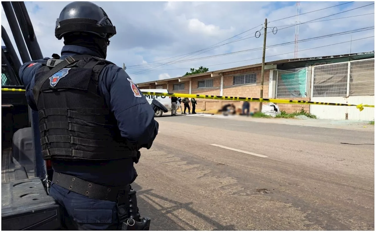 Terror en Sinaloa: Localizan los cuerpos de 8 personas; 5 de ellos tenían puestos sombreros, en alusión al grupo de 'El Mayo' Zambada