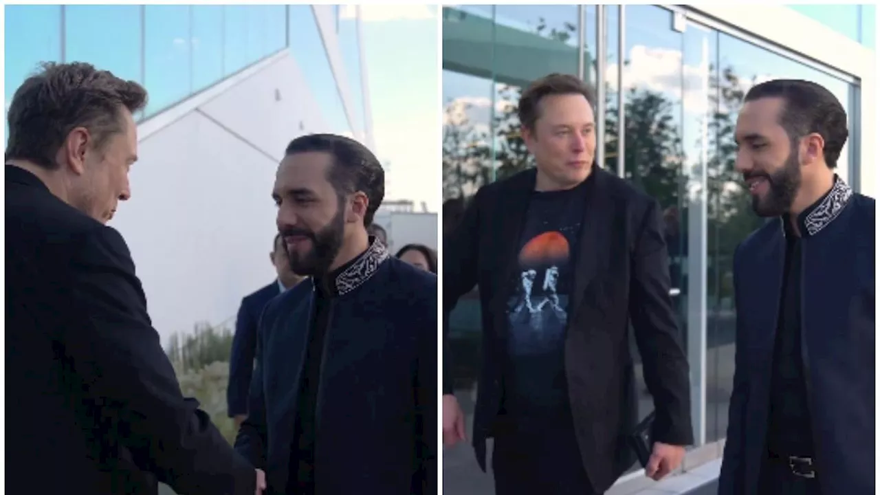 El presidente de El Salvador, Nayib Bukele, se reunió con el magnate Elon Musk: estos fueron los temas que trataron