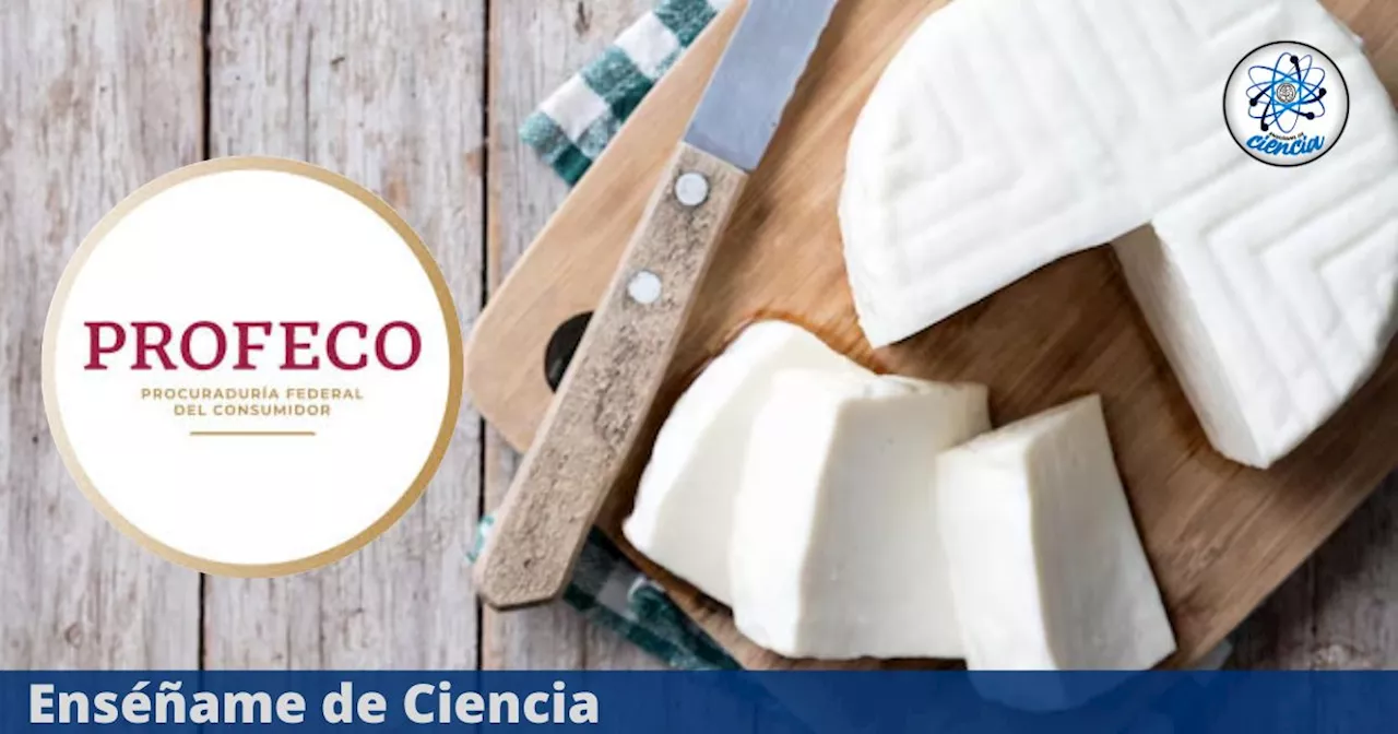 Estas son las mejores marcas de queso panela, según la PROFECO