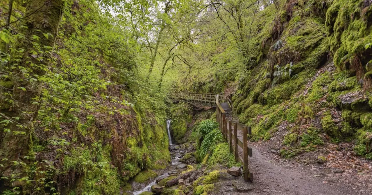 Stunning autumn walk an hour from Glasgow that ends at pub with 'best Sunday roast'