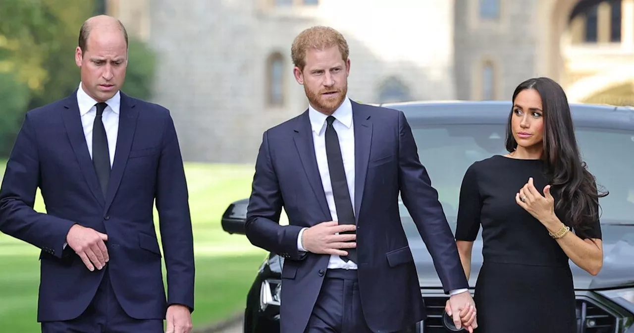 Prince Harry Claims William's Palace Statement Drove Wedge Between Brothers