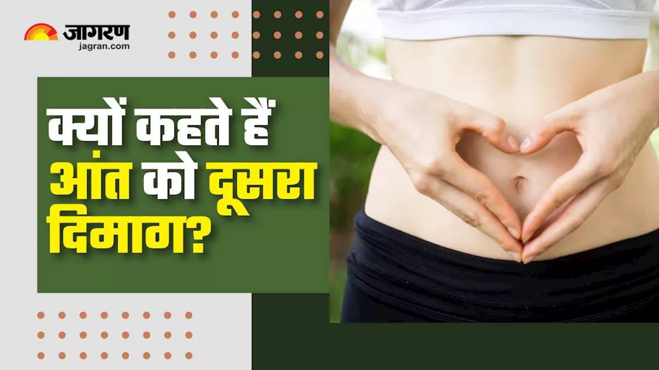 The Brain-Gut Connection: क्यों एंग्जायटी से पेट हो जाता है खराब? हैरान कर देगी इसकी वजह