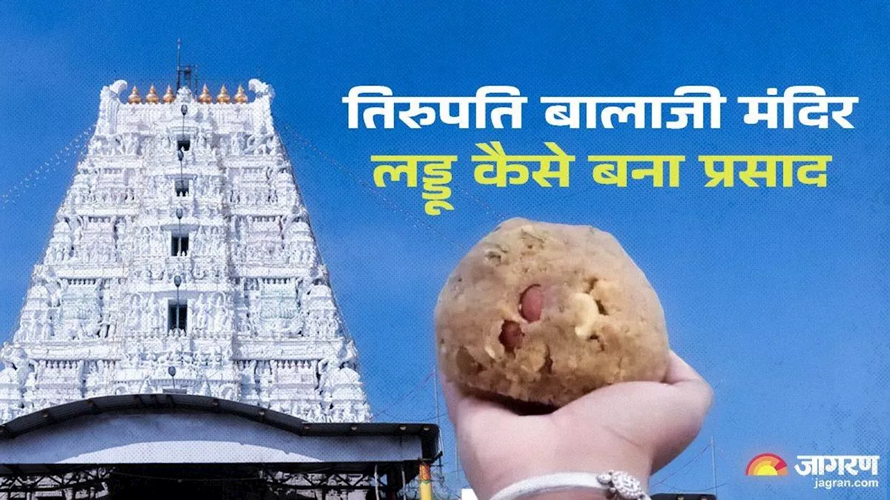 Tirupati Laddu History: सर्वप्रथम भगवान वेंकटेश्वर को किसने लगाया था लड्डुओं का भोग? जानें प्रसाद का इतिहास