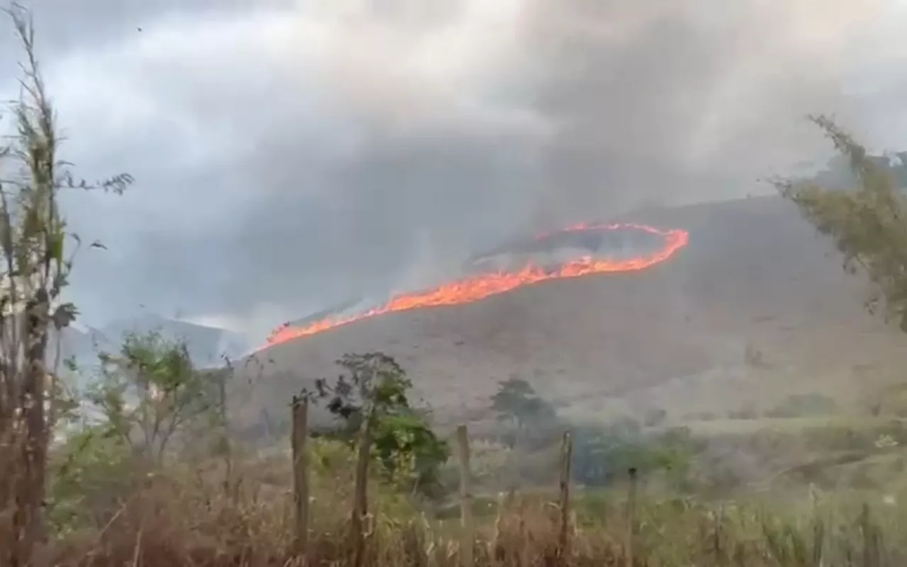 Corpo de Bombeiros atua em mais de 1,5 mil incêndios florestais nos últimos nove dias