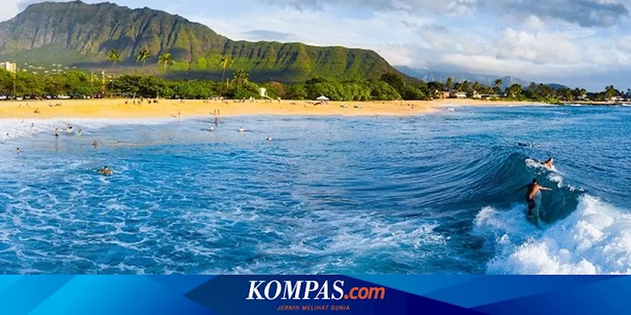 Liburan Jelang Kelahiran Anak Kedua, Suami Istri Ini Tewas Saat Snorkeling di Hawaii