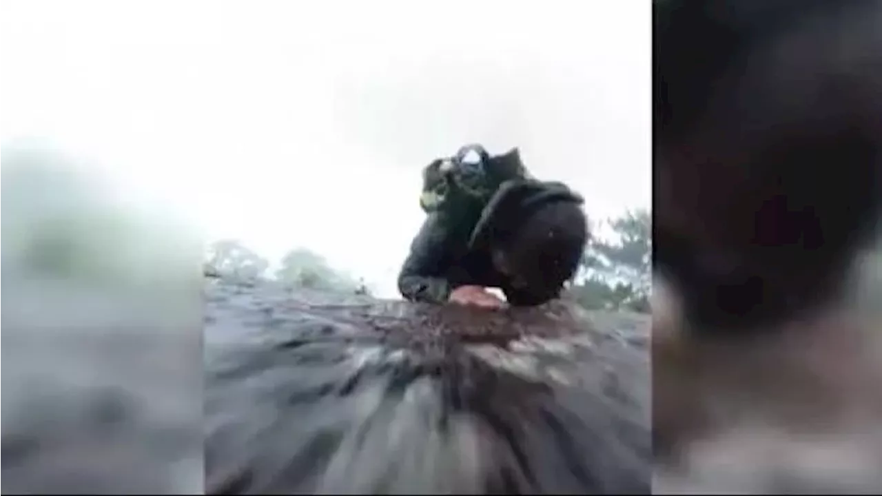 Viral Momen Mengerikan Pria Terekam Kamera Jatuh dari Gunung, Begini Nasibnya Sekarang