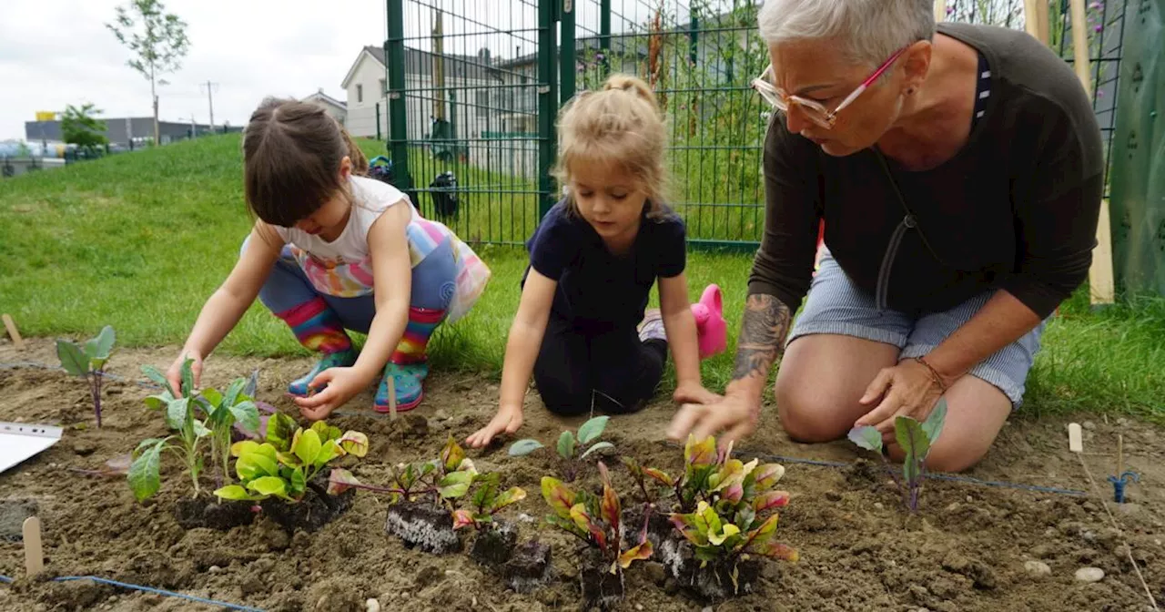 Wo Kinder das Gemüse selbst anbauen, essen sie es lieber