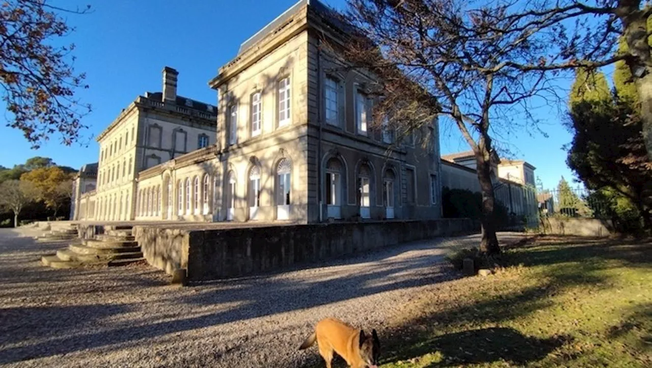 Journées du Patrimoine : allez-vous visiter un site près de chez vous ?