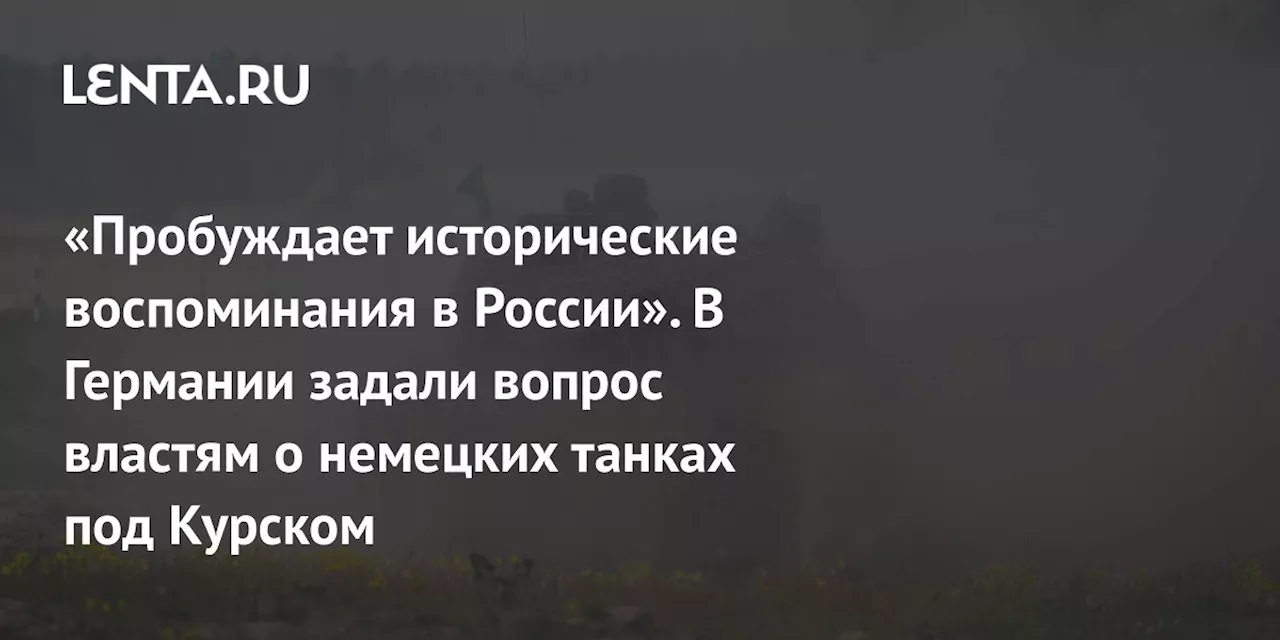 «Пробуждает исторические воспоминания в России». В Германии задали вопрос властям о немецких танках под Курском