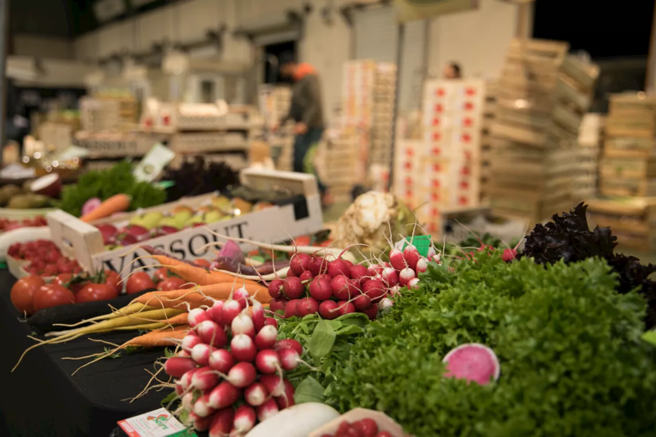 Carreau des producteurs de Rungis : des agriculteurs d’Ile-de-France au plus près des chefs