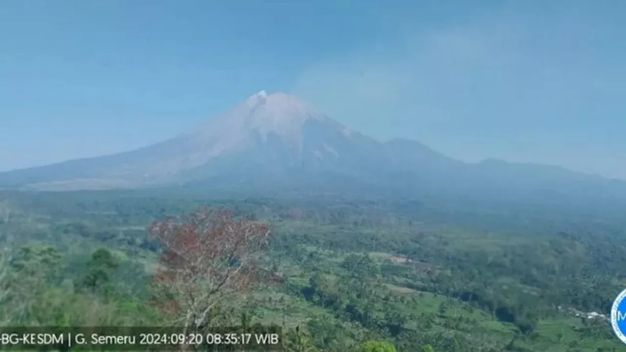 Gunung Semeru Erupsi 9 Kali Terus Menerus, Tinggi Letusan Capai 300 Meter