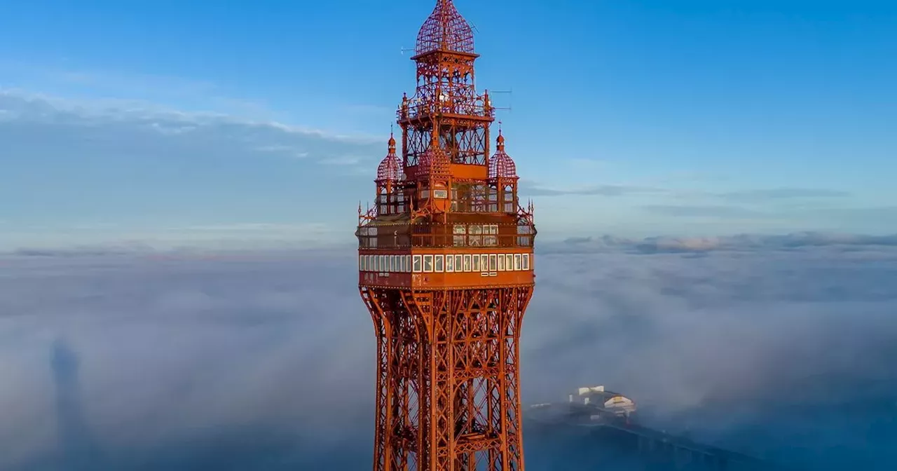 Why the Blackpool Tower will light up white tonight