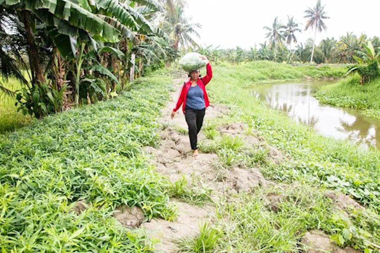 Davao del Norte farmers urged to adapt vs natural disasters