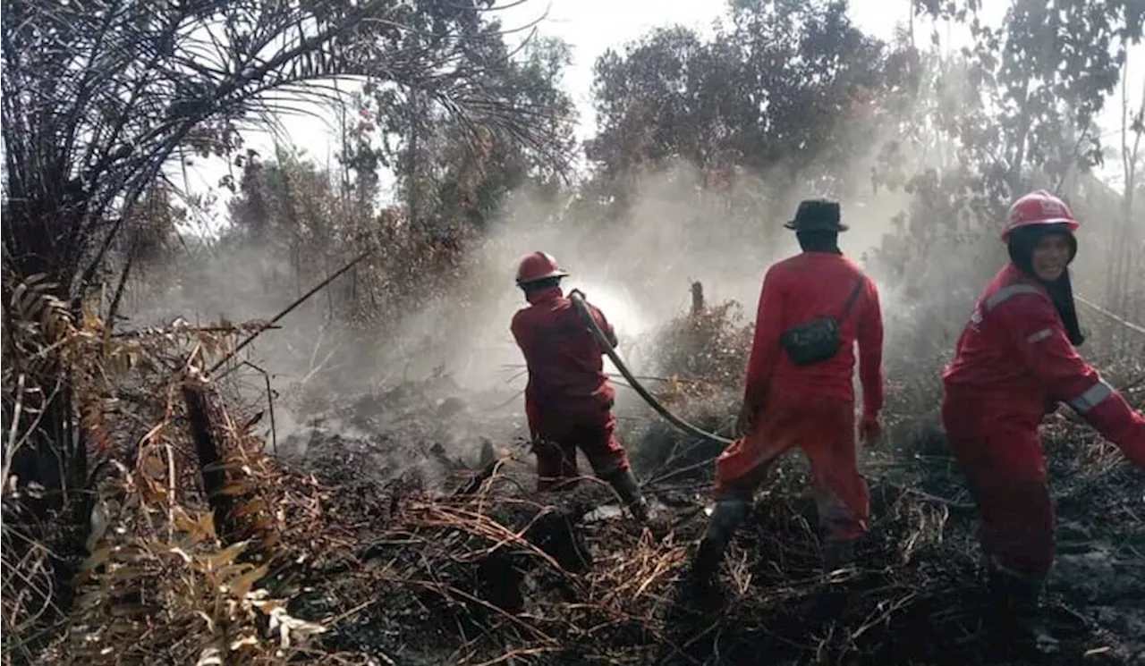 713 Titik Panas Karhutla Kembali Membara di Sumatra