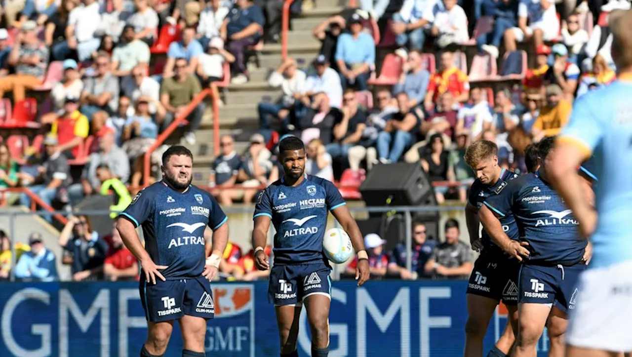 Stade Toulousain : l'exploit face au double champion de France, est-il possible pour Montpellier ?