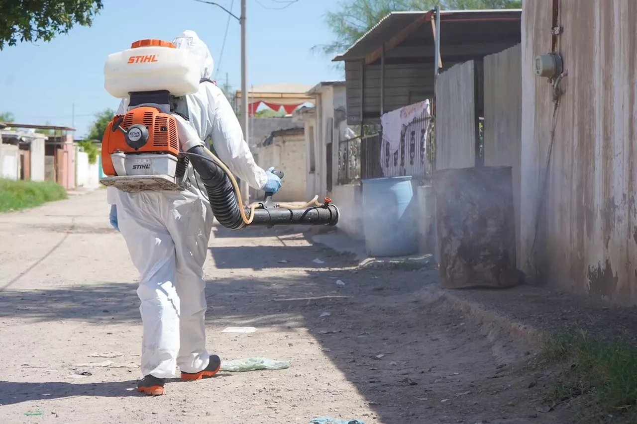 Refuerzan medidas para evitar incremento en casos de dengue en Gómez Palacio