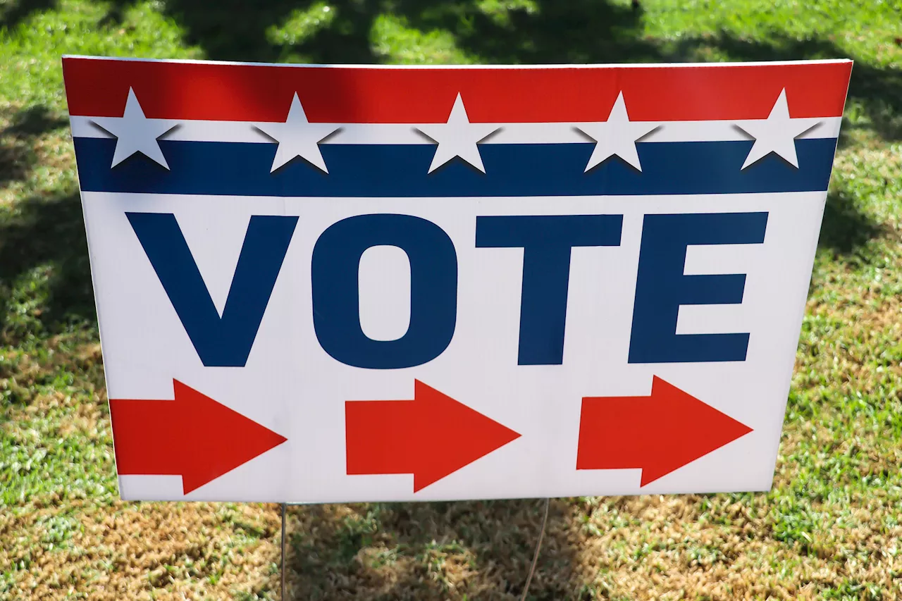 Georgia Election Board Approves Hand Count of Ballots Cast on Election Day