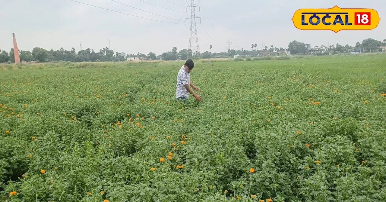 हरिहरपुर के किसान प्रभात कुमार ने फूलों की खेती से कमाई की मंजिल पर पहुँचा