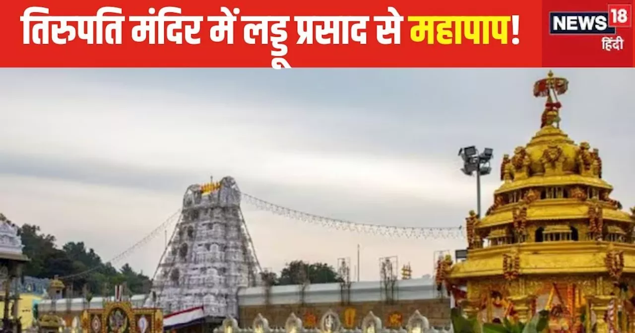 Tirupati Laddu Row: तिरुपति मंदिर ने लड्डू विवाद पर क्या लिया एक्शन, कर्नाटक में अब इस घी से बनेगा प्रसाद