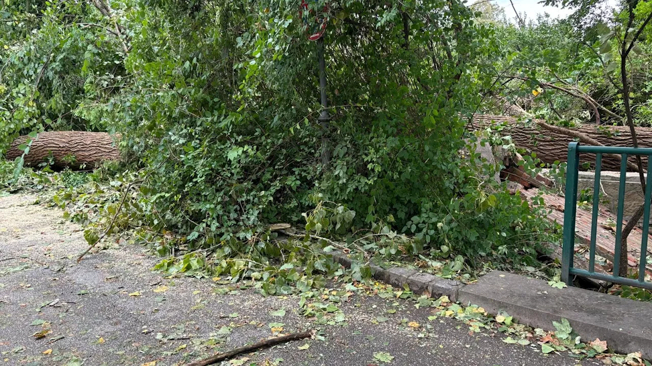 Nach den Aufräumarbeiten wird Stadtpark stückchenweise freigegeben