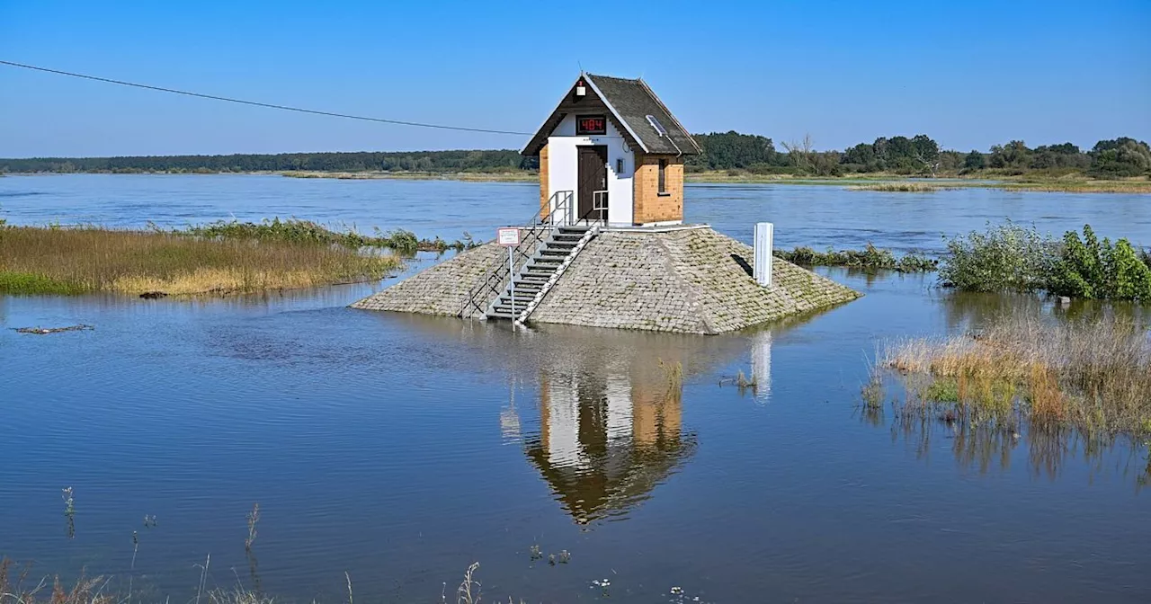 Oder-Spree-Kreis verstärkt ab Montag Hochwasser-Vorkehrungen