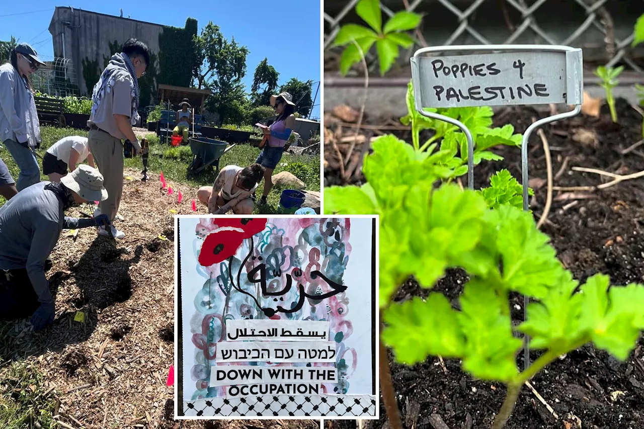 Some NYC residents feel unwelcome by pro-Palestinian events staged at community garden