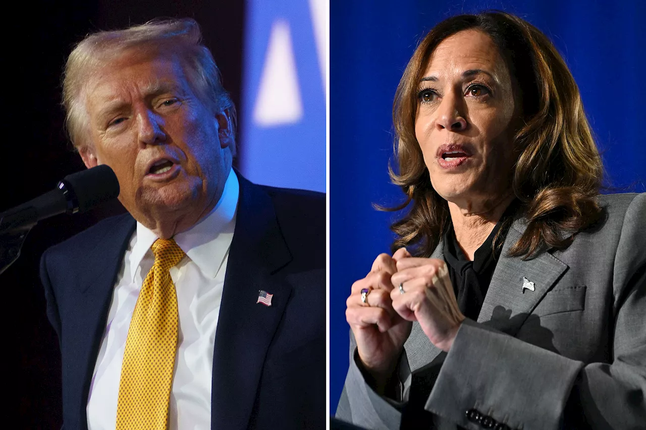 Trump, Harris virtually deadlocked in surprise battleground state Virginia: poll