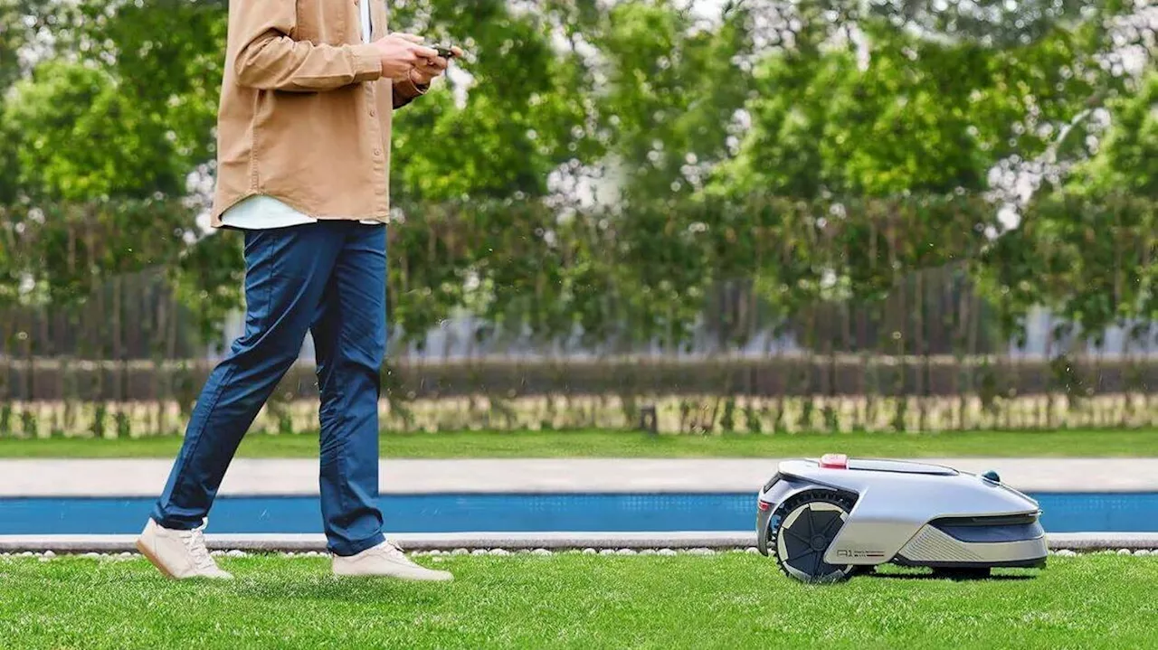 Personne ne s’y attendait : 400 euros de promo sur ce robot tondeuse automatique